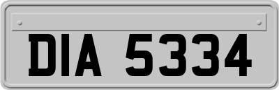 DIA5334