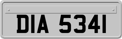 DIA5341