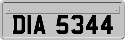 DIA5344