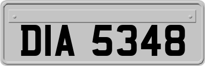 DIA5348