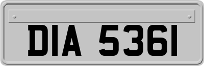 DIA5361