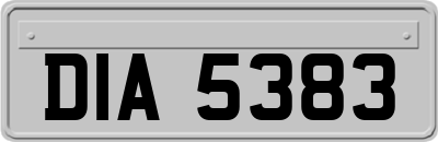 DIA5383