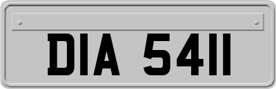 DIA5411