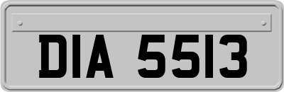 DIA5513