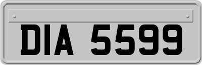 DIA5599
