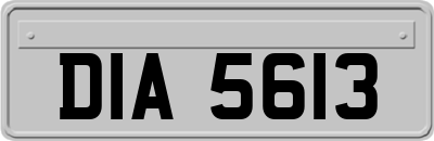 DIA5613