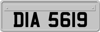DIA5619