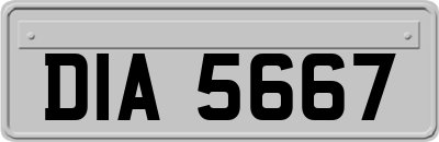 DIA5667