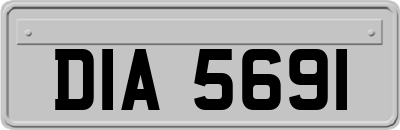 DIA5691
