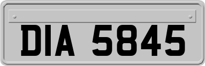 DIA5845