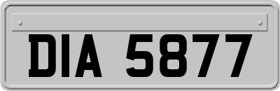 DIA5877