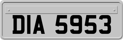 DIA5953