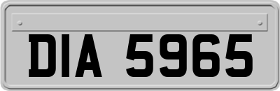DIA5965