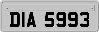 DIA5993