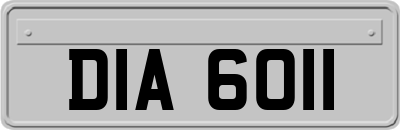 DIA6011