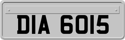 DIA6015