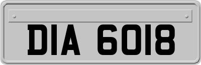 DIA6018