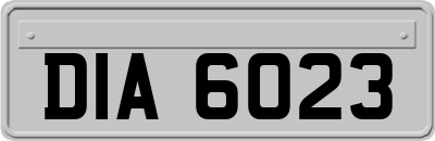 DIA6023