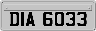 DIA6033
