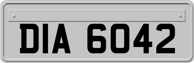 DIA6042