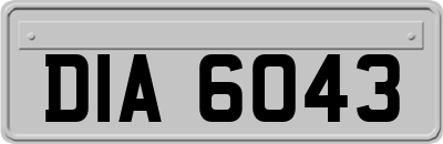 DIA6043