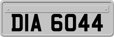 DIA6044