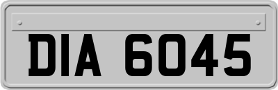 DIA6045