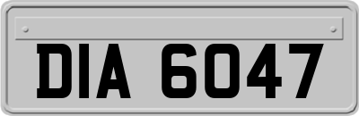 DIA6047