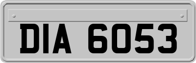 DIA6053