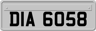 DIA6058
