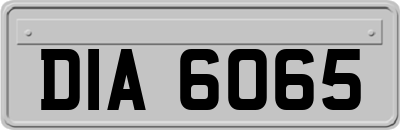 DIA6065