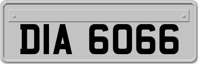 DIA6066