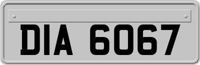 DIA6067