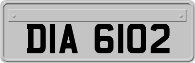 DIA6102