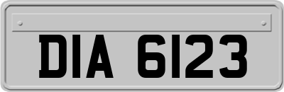 DIA6123