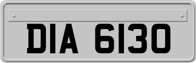DIA6130
