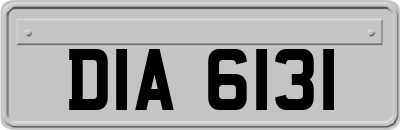 DIA6131