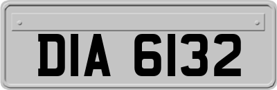 DIA6132