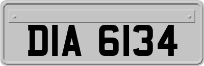 DIA6134