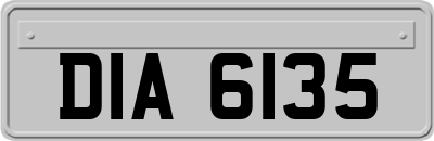 DIA6135