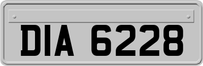 DIA6228