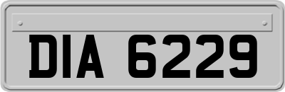DIA6229