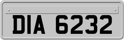 DIA6232