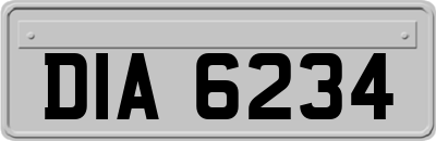 DIA6234