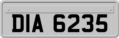 DIA6235