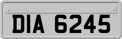 DIA6245