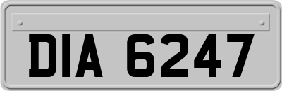 DIA6247