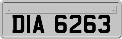 DIA6263