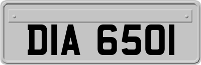 DIA6501