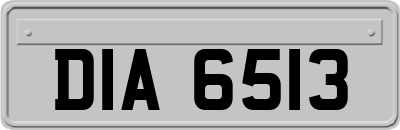 DIA6513